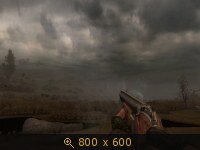 2582770.jpg