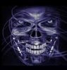 steelrat